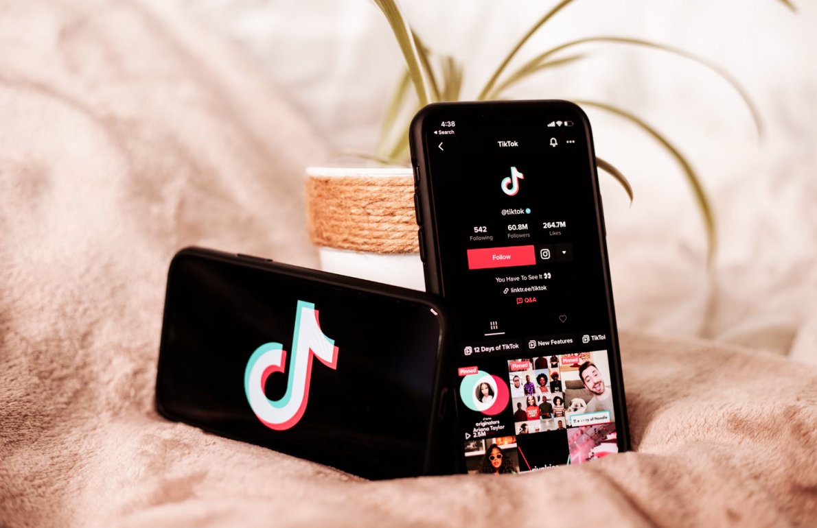 Two phones. There is TikTok logo on one of them and on the second there is someone's TikTok profile.Behind theme there is a plant in the pot.